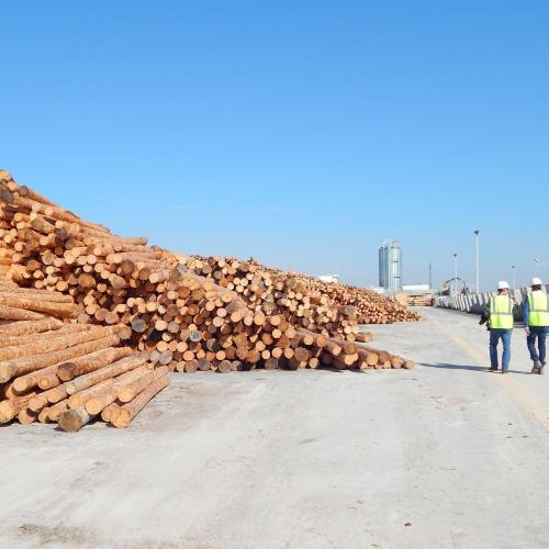 Klausner Lumber received NMTC financing as a critical piece to complete their lumber mill in Enfield, NC. The development is a marquee project for that will bring significant investment, economic activity, and jobs to this highly distressed area.